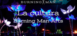 CONVOCATORIA PARA BURNING MAN PROJECT